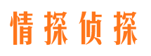 内乡商务调查